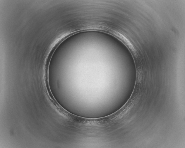 X0000116161043200912071321