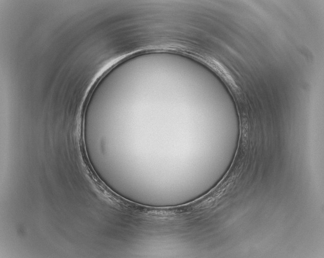 X0000116161044200912071321