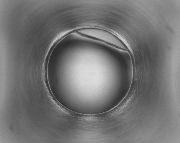 X0000116161045200912071321