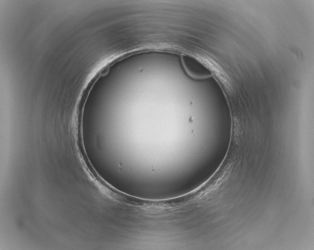 X0000116161046200912071321