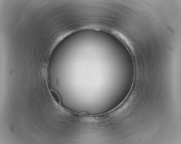 X0000116161049200912071321