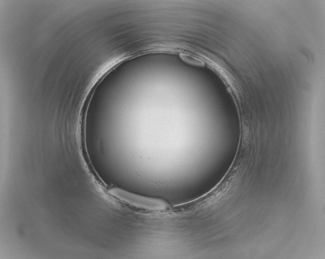 X0000116161050200912071321