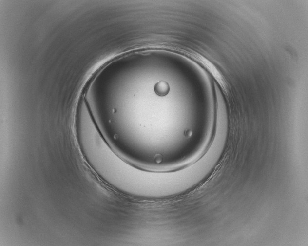 X0000116161051200912071321