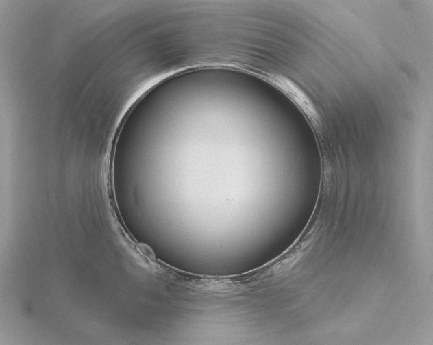 X0000116161052200912071321