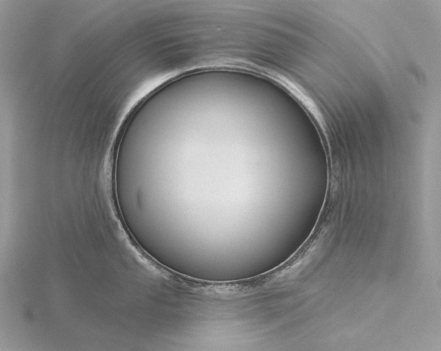 X0000116161053200912071321