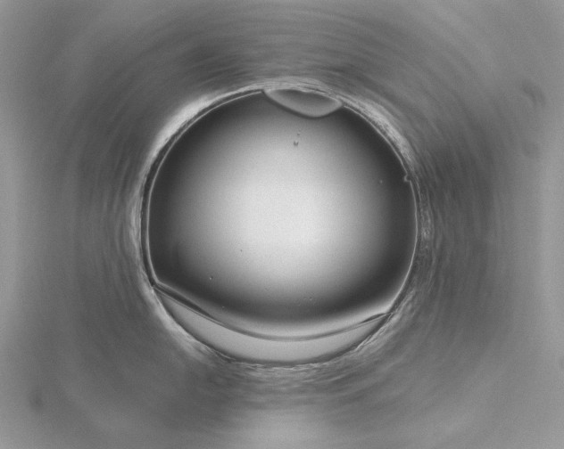 X0000116161054200912071321