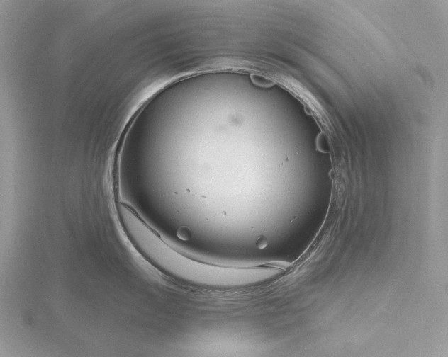 X0000116161055200912071321