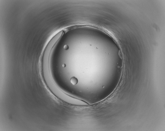 X0000116161056200912071321