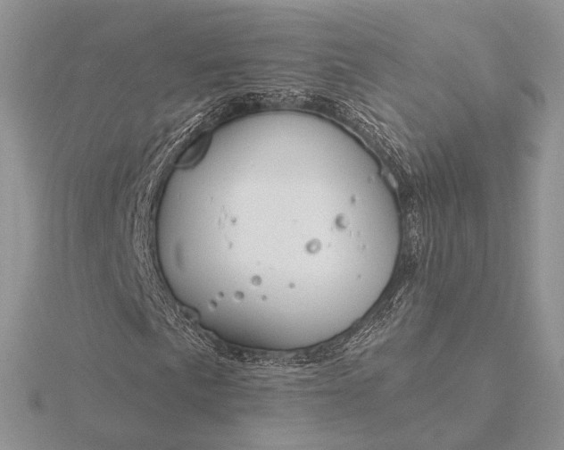 X0000116161057200912071320