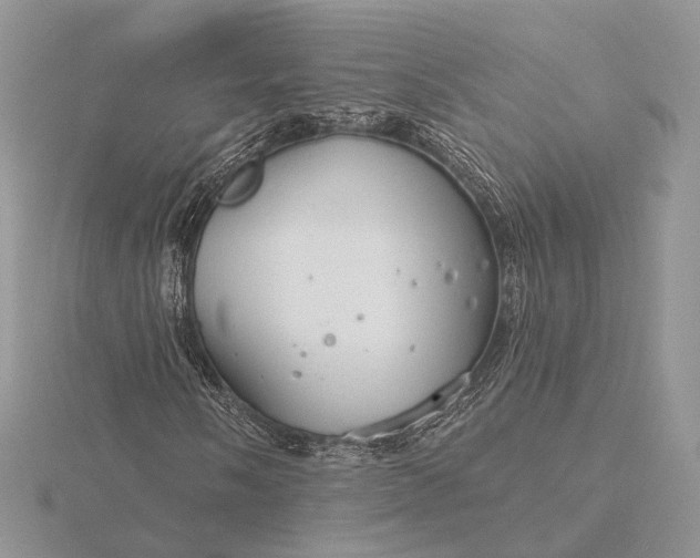 X0000116161058200912071320