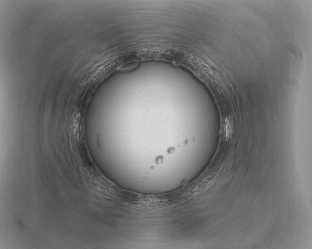 X0000116161059200912071320