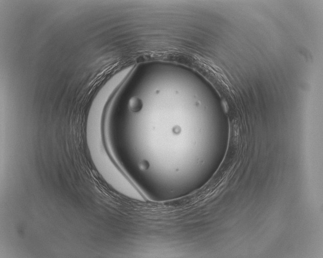 X0000116161060200912071320