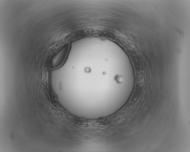 X0000116161061200912071320