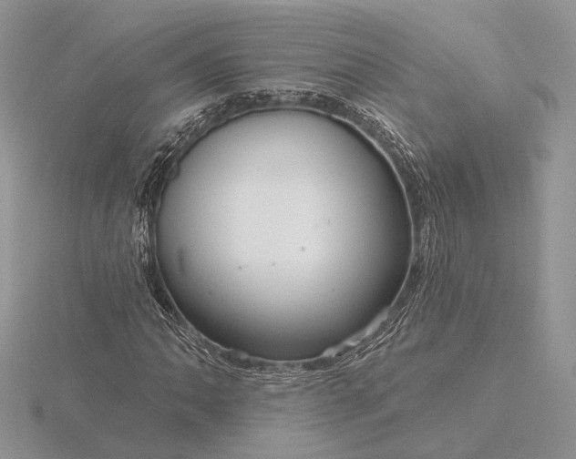 X0000116161062200912071320