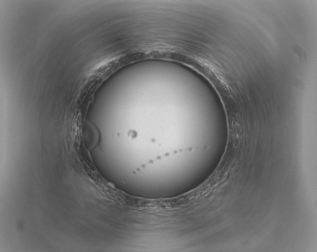 X0000116161063200912071320