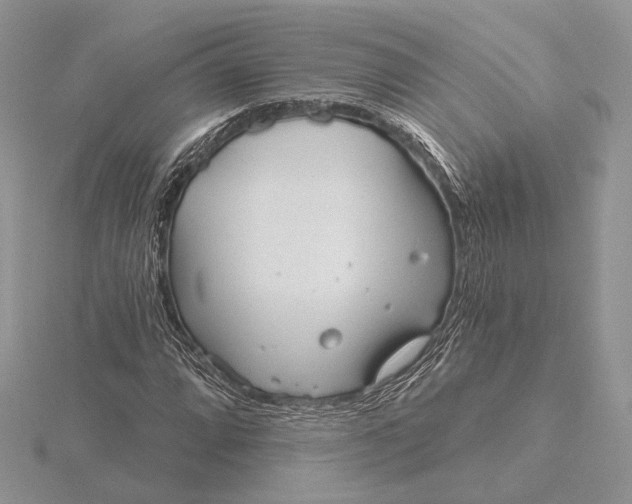 X0000116161064200912071320