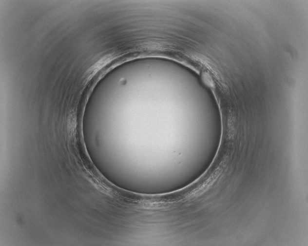 X0000116161065200912071320