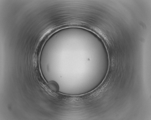 X0000116161067200912071320