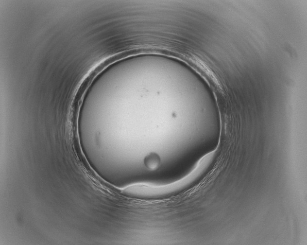 X0000116161068200912071320