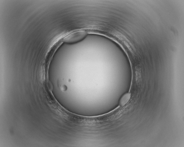 X0000116161069200912071320