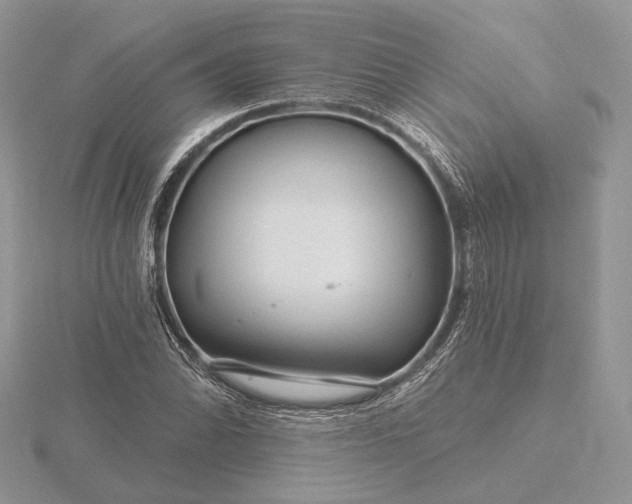 X0000116161070200912071320