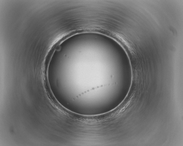 X0000116161071200912071320