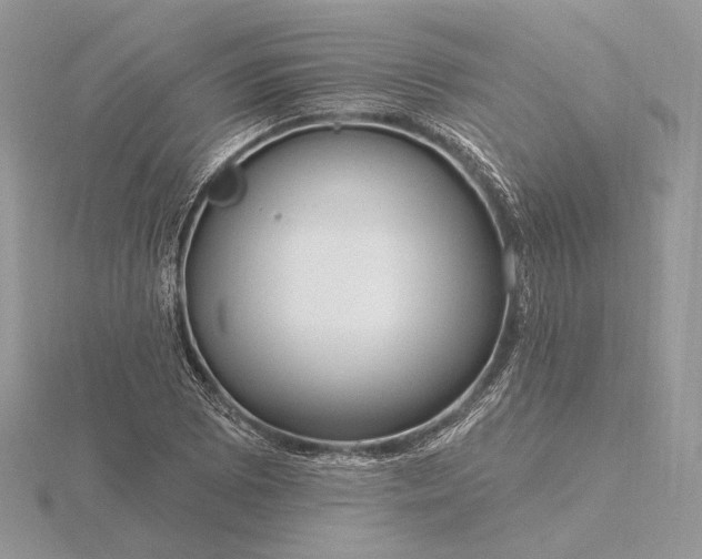 X0000116161073200912071320