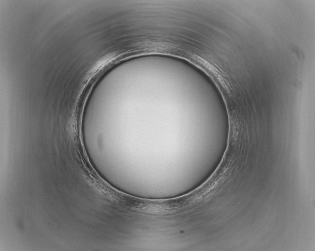 X0000116161074200912071320