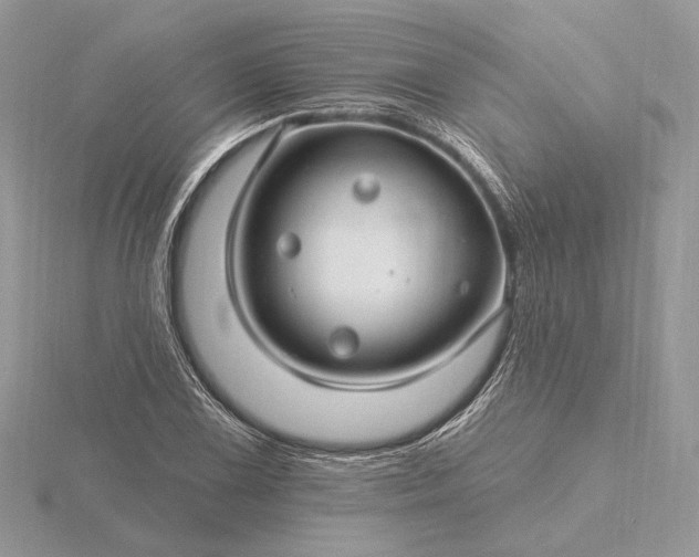 X0000116161075200912071320