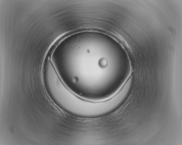 X0000116161076200912071320