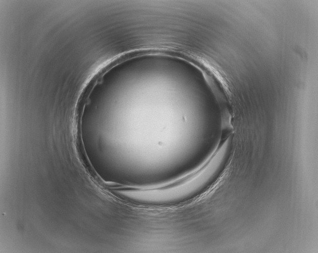 X0000116161077200912071320