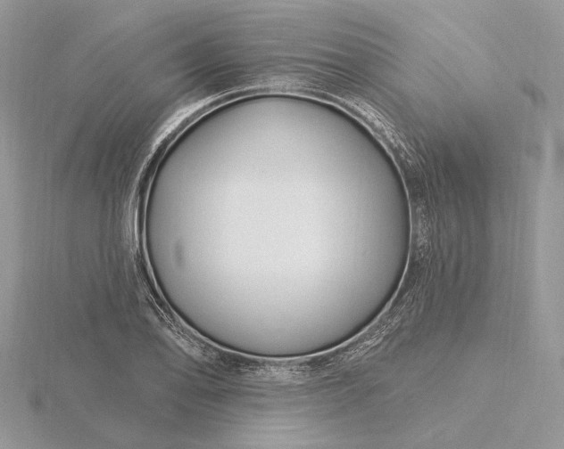 X0000116161078200912071320