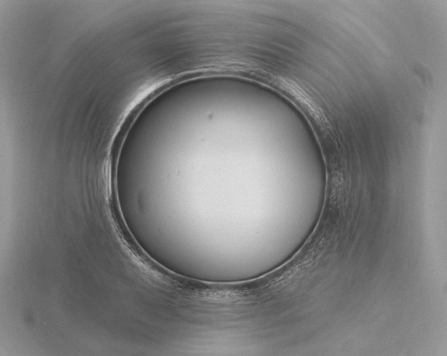 X0000116161079200912071320