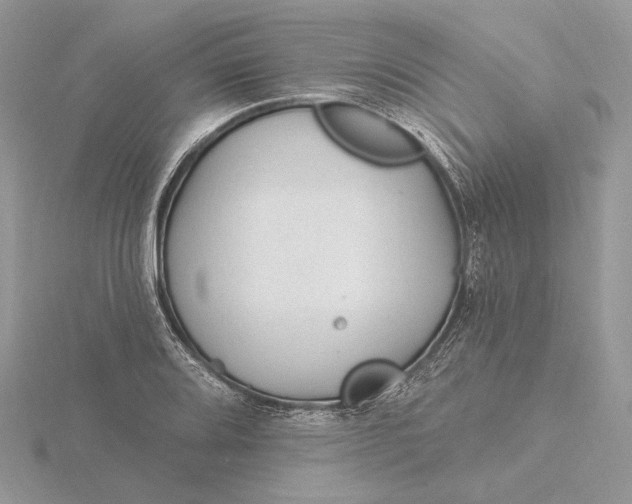 X0000116161080200912071320