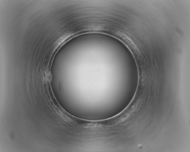 X0000116161081200912071320