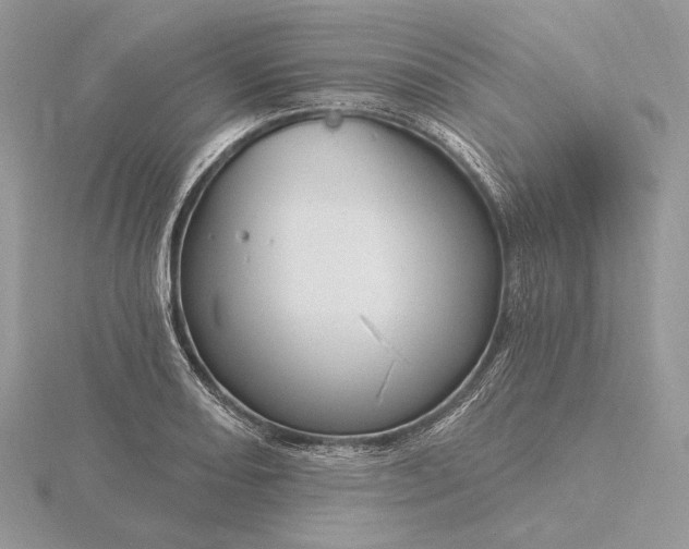 X0000116161082200912071320