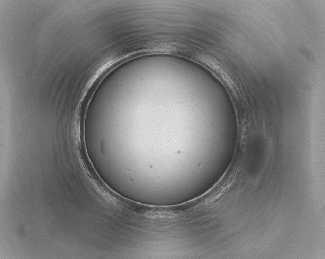 X0000116161083200912071320