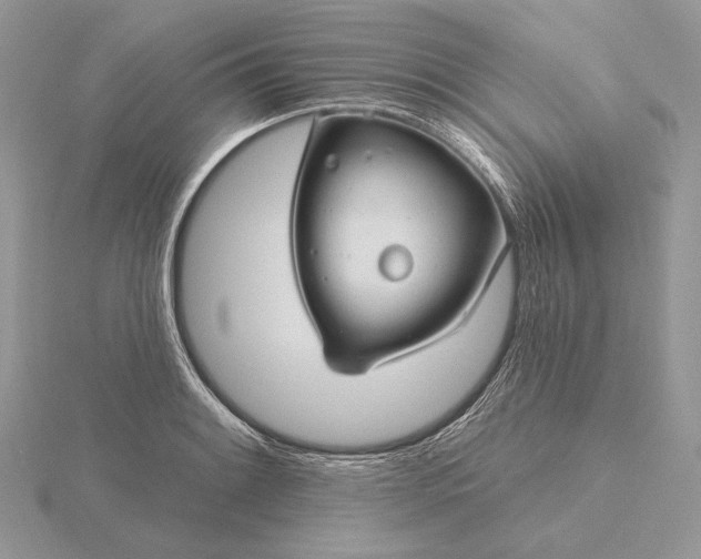 X0000116161084200912071320