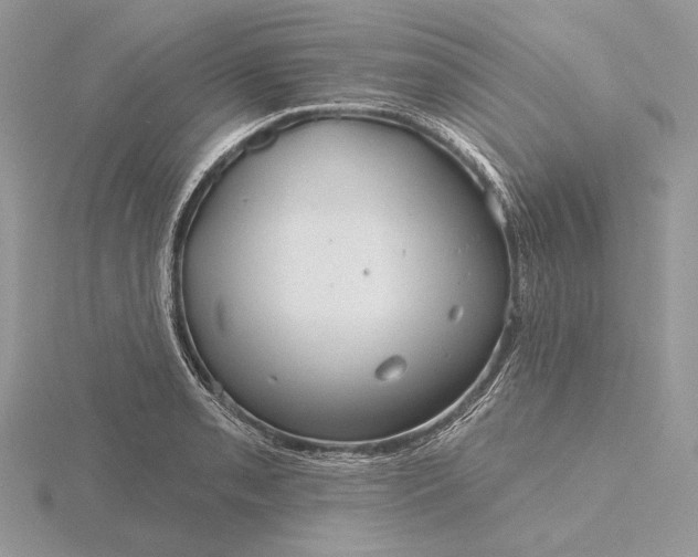 X0000116161085200912071320