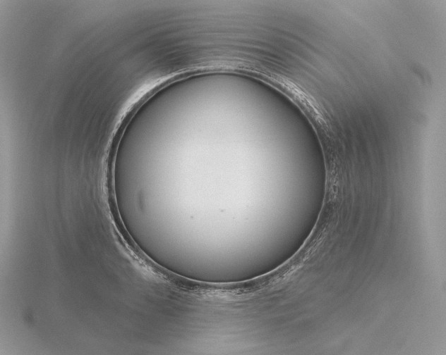 X0000116161086200912071320