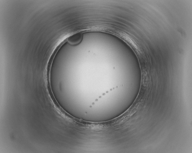 X0000116161087200912071320