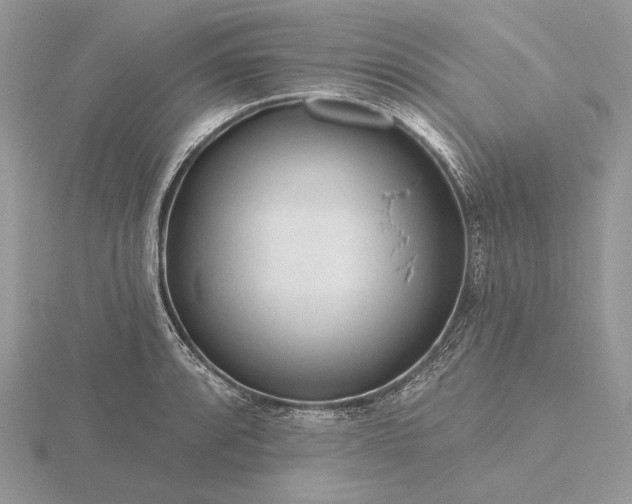 X0000116161088200912071320