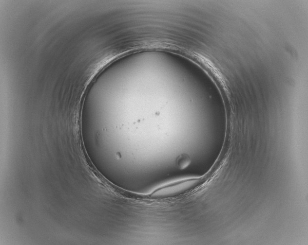 X0000116161089200912071320