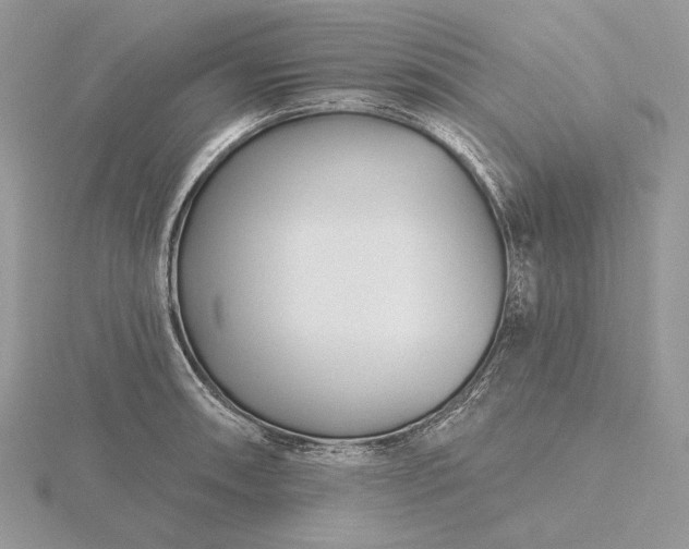 X0000116161090200912071320