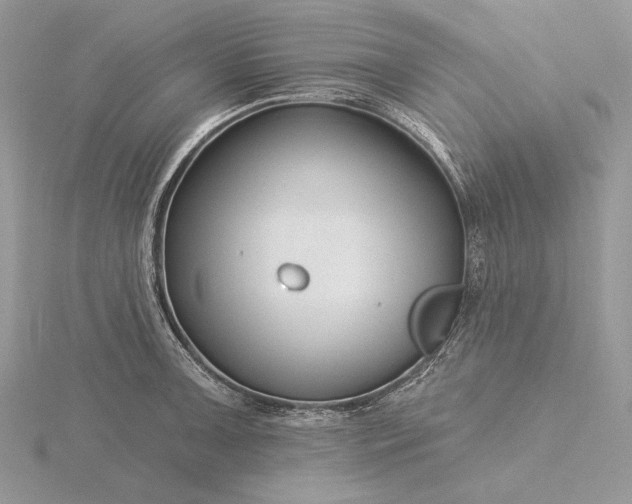 X0000116161091200912071320