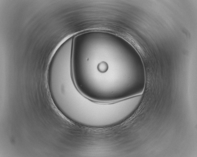 X0000116161092200912071320