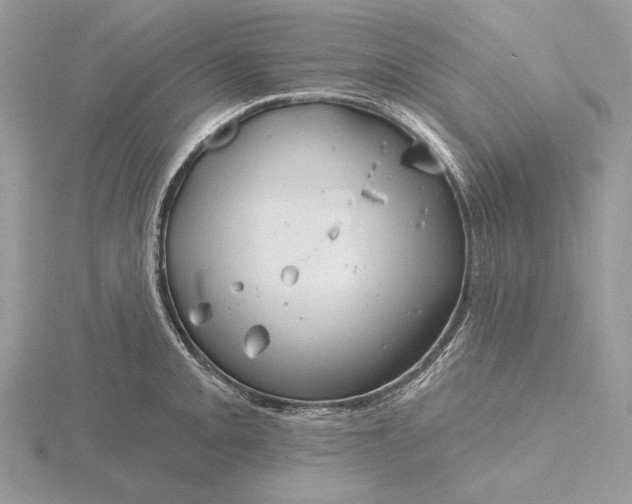 X0000116161093200912071320