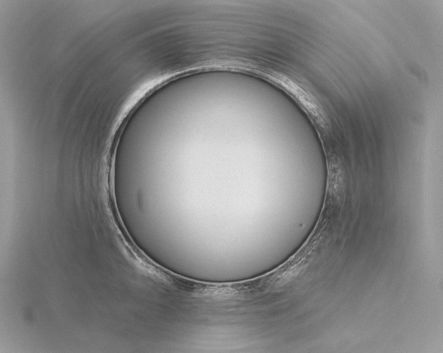 X0000116161094200912071319