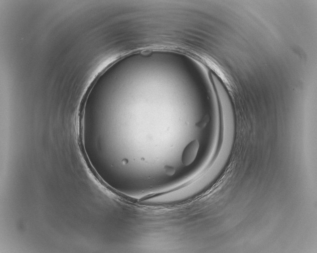 X0000116161095200912071319