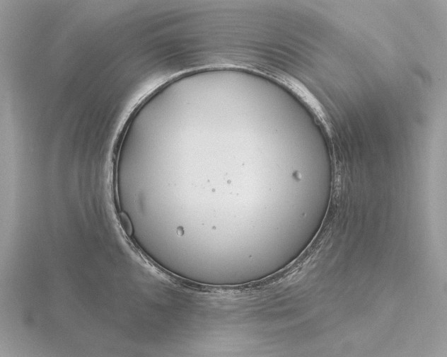 X0000116161096200912071319